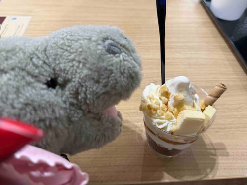 食後にマザー牧場のNYチーズケーキパフェ美味いかばぁ(*´Д｀*)