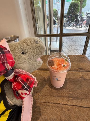 キルフェボンの東京ドームシティ店でしか飲めないフルージュ！
ピンクグレープフルーツのフルージュめっちゃ美味かったかばぁ(*´Д｀*)