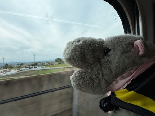 久々に新幹線乗ったかばぁ🚅