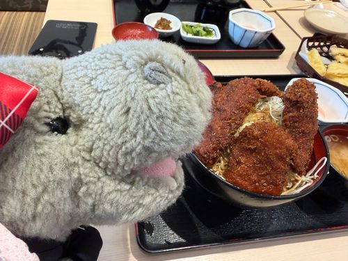 鹿肉とヒレカツのミックスソースカツ丼！鹿肉がめっちゃ美味かったかばぁ(*´Д｀*)