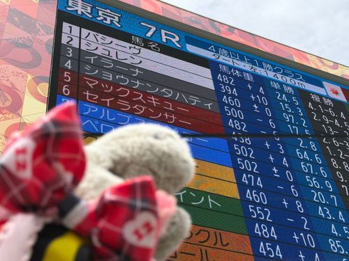 イラーナめっちゃ頑張ってた！オッズ付いてる時に勝利お願いかばぁ！！(笑)