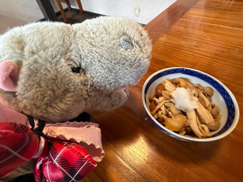 雑きのこ美味いかばぁ(*´Д｀*)