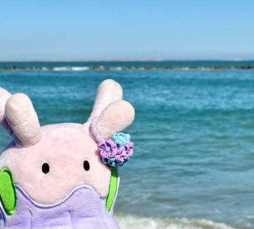 海ひさびさだね
