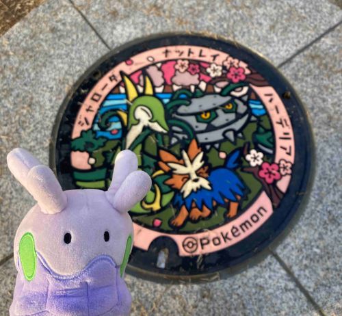 ポケふたあったね