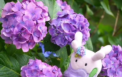 ず〜〜っとだ〜いすきだよ
これからも色々なところ行こうね