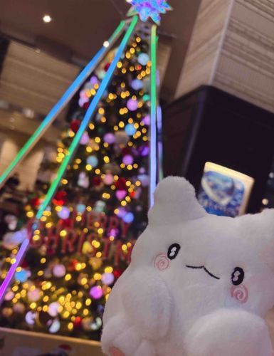 ま、まだくりすます、なの