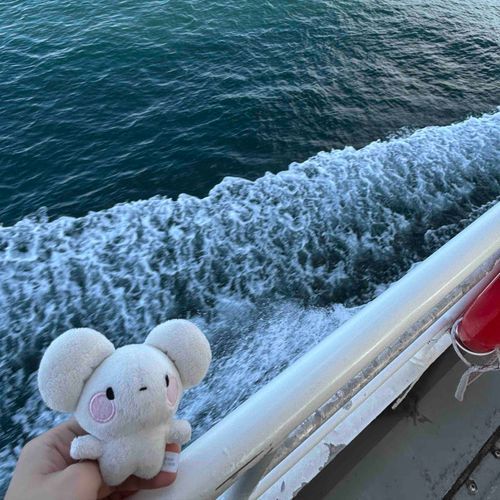 海を渡るぞ！