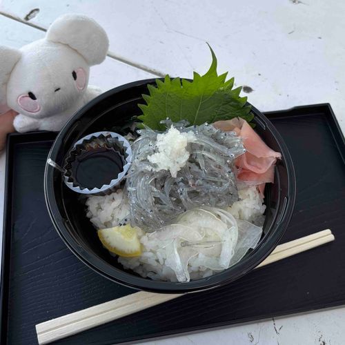 これは名産のしらす丼
注文して5秒で出てきた(すごい)