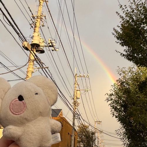 にじだー！🌈🌈