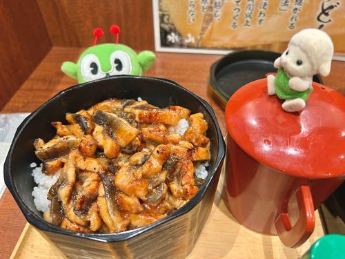 明日は土用の丑の日、ということで…ご主人とみんくるさんと一緒にうなぎを食べてきました！

夏バテ気味だったけど、しっかり元気チャージできたよ〜💪
とってもおいしかったです🐟