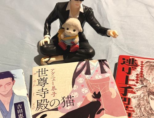 新しい巣へのお引っ越しも終わり、ご主人と久しぶりにショッピングを楽しみましたよ🛍️

ご主人は気になっていた本をいっぱい買えて嬉しかったみたい🎶（俺とおまえの夏の陣、世尊寺殿の猫、直義（ご主人の好きな男）が表紙の本…だって！）
お友達の座村清市さんも来てくれました！「こんな本いっぱい…読めるのか〜？」と言ってましたよ！