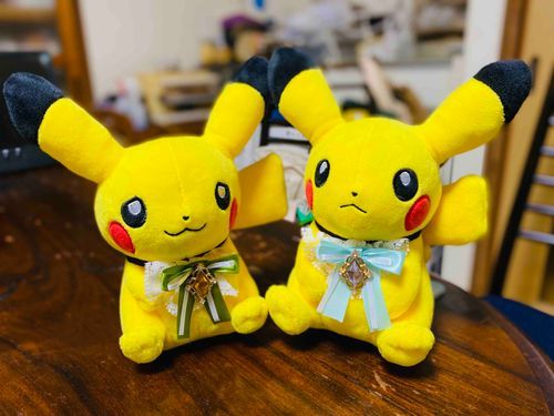 ソラ:おそろいのリボンを作ってもらいました
まめ:いつもは気楽なカッコの方が多いから、なんだか不思議なかんじだねぇ