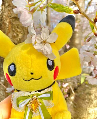まめ:花びらじゃなくて花がそのまま落ちちゃうのは、鳥が蜜をのんでつつくからなんだって〜。
虫より鳥のほうがずっとからだが大きいのに、蜜でお腹いっぱいになれるのかな？