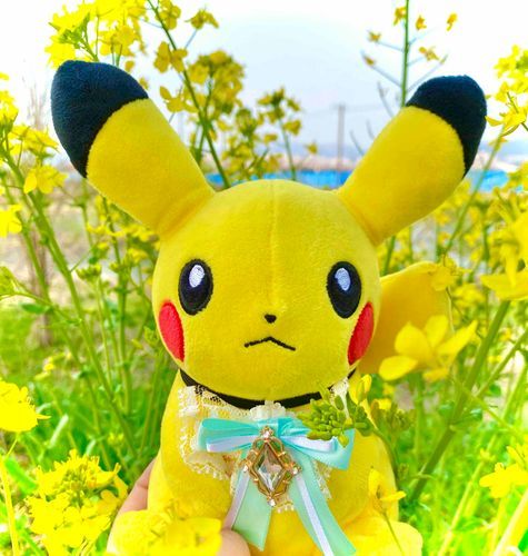 ソラ:そばには菜の花も咲いていました。
ぼくたちとおんなじ色ですね。