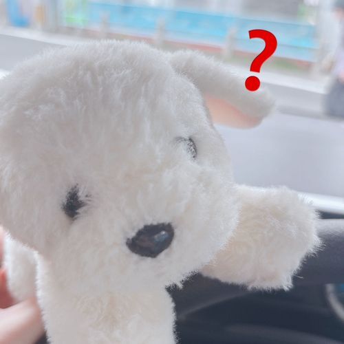 ゴルパピのりんちゃん♂
おかおがナナメだけどとてもかあいぃ