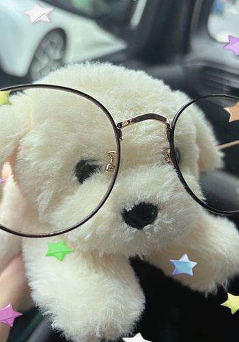 りんたん、ままのメガネかけて
どこにいくの？