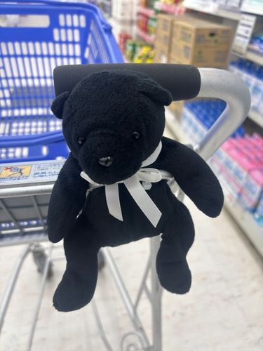お買い物に着いてきてもらった！