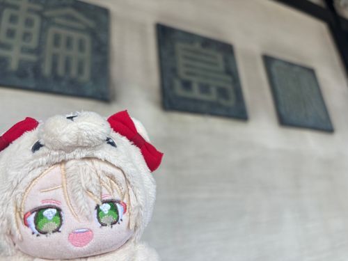 このまえ わじまに いったんだァ！これは みちのえきで とったしゃしんだよォ！