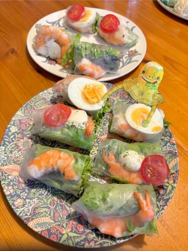 色んな生春巻きつくったよ🍤✨