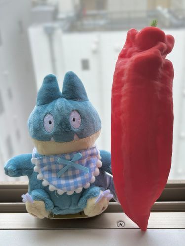 ながーいパプリカ🌶️