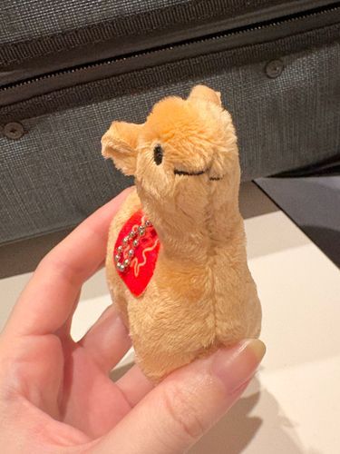 新しい仲間‼️
エジプトのラクダ🐪
正面から見ると口がちょっとずれてるのがチャームポイント🪄