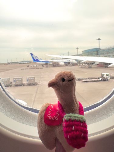 沖縄Go!!!🛫🐪✨🍓