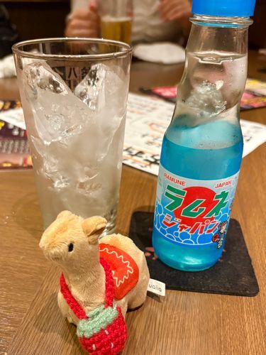 お酒飲めないマンのかいぬしは瓶ラムネ🥳✨かんぱーい🍻