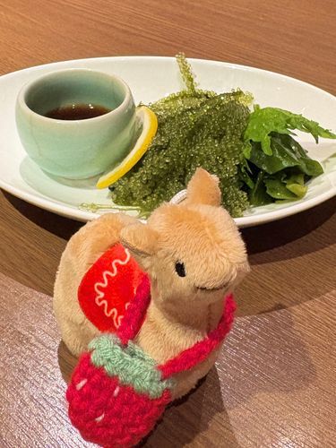 海ぶどうとか食べたよ♪