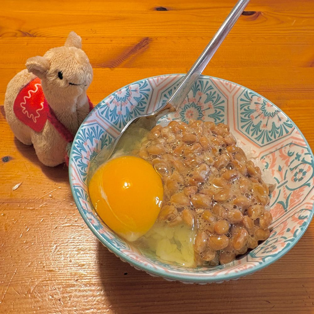 まずは低GIのもずくを食べて、納豆たまごかけご飯🍚
ここ最近は急に健康に目覚めているので、さらに食前にはカカオ95%チョコを食べるようにしています🙂↕️
かいぬしの家系は糖尿病になりやすいかもしれないらしくて、おそろしい👻💦