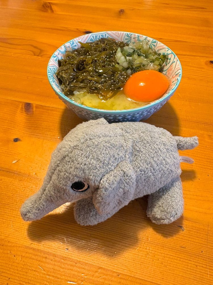 今日のごはんは朝サラダ、お昼めかぶ卵かけご飯、夜肉野菜🍚with🐘
