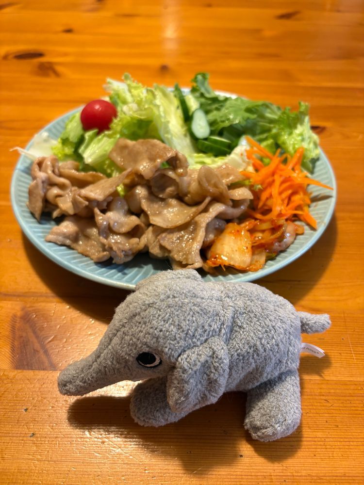 今日のごはんは朝サラダ、お昼めかぶ卵かけご飯、夜肉野菜🍚with🐘