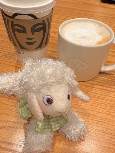 スターバックスラテを飲んで休憩しました☕️これからユニクロとGU👚