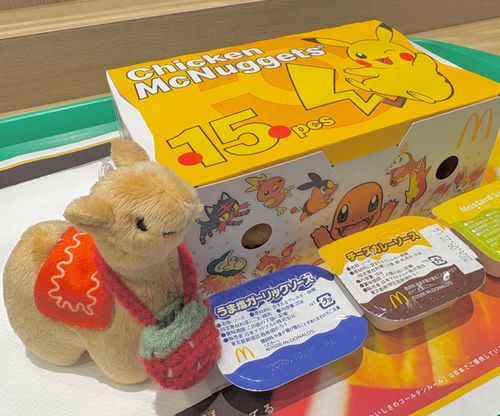 おやつにポケモンナゲット食べたよ〜！！
🆕ソースおいしい😋🍛🧄