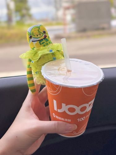 見つけたら飲む生搾りジュース🥤
その場でオレンジを丸ごと３個しぼってくれる自販機みたいなやつ🍊