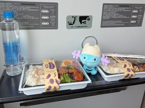 おそろのお弁当でお出かけ🚅