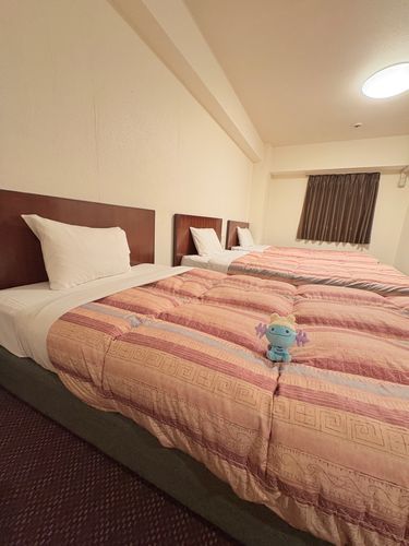 一人で泊まるのにベッド3こもある✨
ひとつはウパさん専用🛌🩵