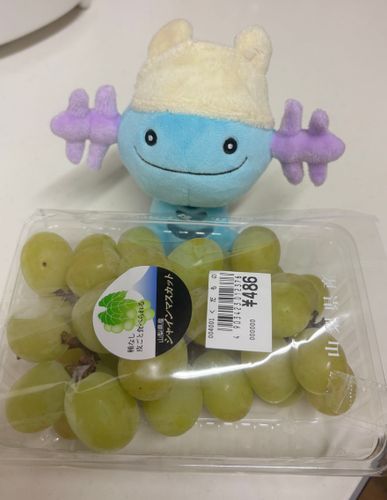 静岡のローソンで486円のシャインマスカットをゲットして持って帰ってきた🍇✨
めっちゃおいしくて嬉しい😋
