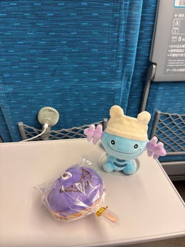 再び静岡にGo🚅😈