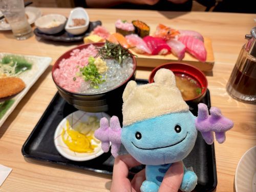 おさかなだああああ!!!🐟生しらす、生さくらえび！