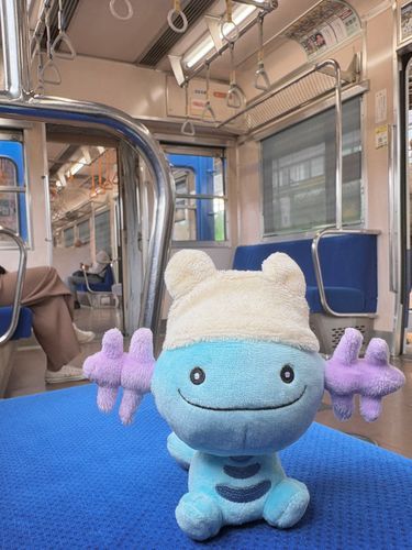 きっぷの電車🚃
