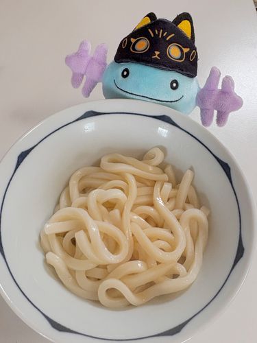 素うどん🥢