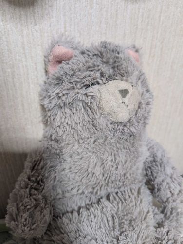 一目惚れして買ってもらった大切な相棒
名前はおもち！誰かを家に招くと必ず「可愛い〜」となでくりまわされ、抱っこされる人気者です🐈‍⬛