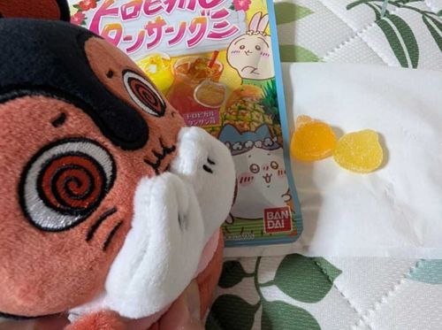 なにか分かっちゃったせいれーんちゃん