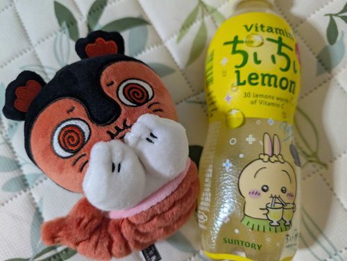 ちいちいれもん酸っぱかったの