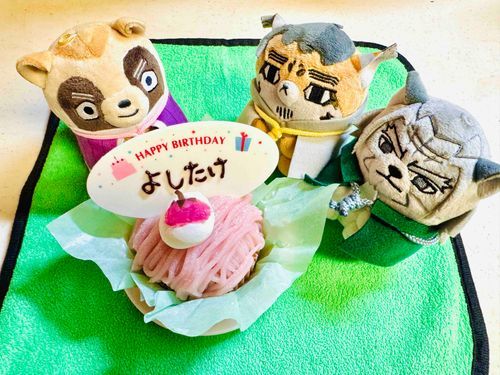 ㊗️3月3日🎂
- ̗̀ 𝙷𝙰𝙿𝙿𝚈 𝙱𝙸𝚁𝚃𝙷𝙳𝙰𝚈  ̖́-
よしたけ🌸