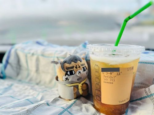 オーくんと💛
ゆずシトラスソーダ、チャイシロップ追加液量多めでライトアイス
クラフトコーラ風味🥤