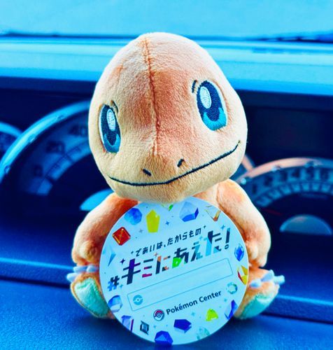 お迎えしました！お家帰ろう、お名前なににしようか🔥