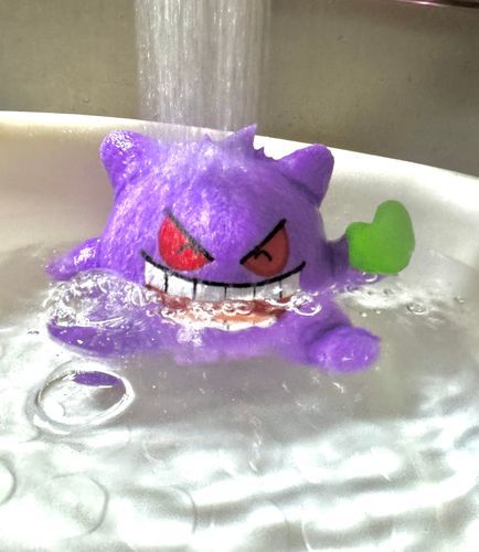 突然ですがポケメンバー増えました！野良になるところだった子をお迎えしました〜
お名前何にしようかな？その前にお風呂だね🛁🫧