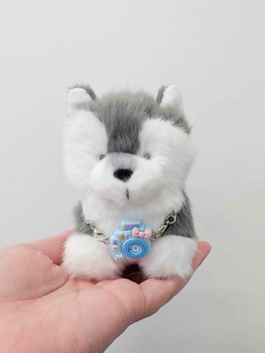 正面からの写真も載せれば？って言われた。
よく「つぶらなひとみ」って言われるけど、……それ褒めてるのか？