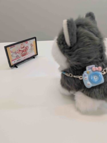 うちのにんげんは「ゆーちゅーぶ」ってやつばっかり見てるけど、たまにはテレビも見て流行を追いかけなくっちゃな。
なになに……
「ぼんぼんどろっぷしーるが大流行」？なんだそれ？